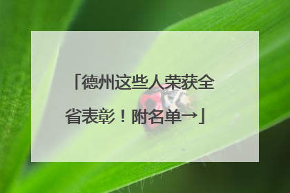 德州这些人荣获全省表彰！附名单→