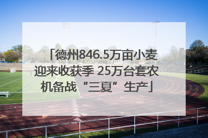 德州846.5万亩小麦迎来收获季 25万台套农机备战“三夏”生产