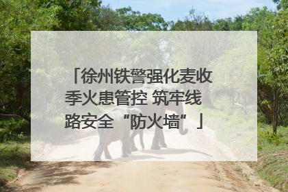 徐州铁警强化麦收季火患管控 筑牢线路安全“防火墙”