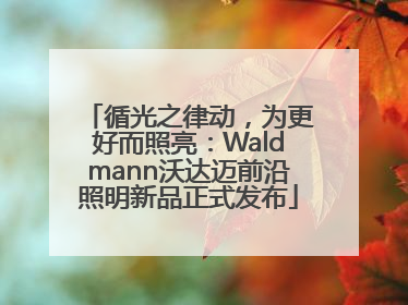 循光之律动，为更好而照亮：Waldmann沃达迈前沿照明新品正式发布