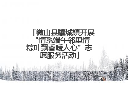 微山县驩城镇开展“情系端午邻里情 粽叶飘香暖人心”志愿服务活动