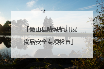微山县驩城镇开展食品安全专项检查
