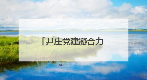 尹庄党建凝合力 联建议事促振兴