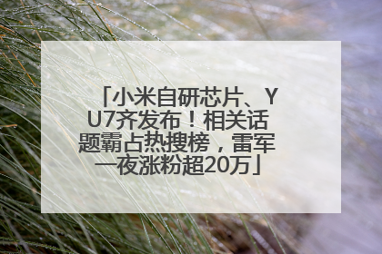 小米自研芯片、YU7齐发布！相关话题霸占热搜榜，雷军一夜涨粉超20万