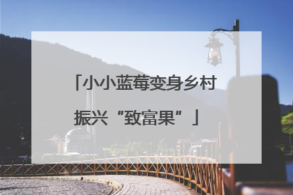 小小蓝莓变身乡村振兴“致富果”