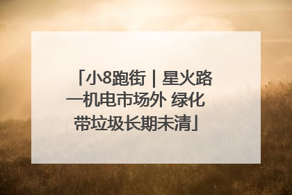 小8跑街｜星火路一机电市场外 绿化带垃圾长期未清