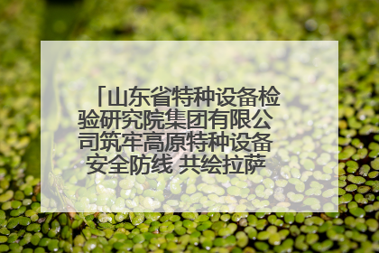山东省特种设备检验研究院集团有限公司筑牢高原特种设备安全防线 共绘拉萨美好生活画卷