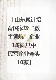 山东累计培育国家级“数字领航”企业18家 其中民营企业牵头10家