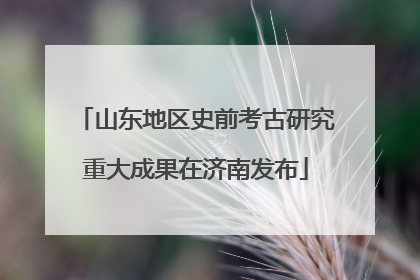 山东地区史前考古研究重大成果在济南发布