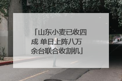 山东小麦已收四成 单日上阵八万余台联合收割机