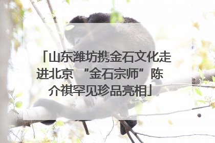 山东潍坊携金石文化走进北京 “金石宗师”陈介祺罕见珍品亮相