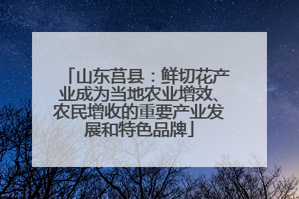 山东莒县：鲜切花产业成为当地农业增效、农民增收的重要产业发展和特色品牌