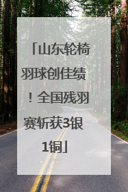 山东轮椅羽球创佳绩！全国残羽赛斩获3银1铜