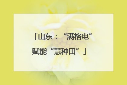 山东：“满格电”赋能“慧种田”