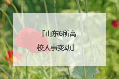 山东6所高校人事变动