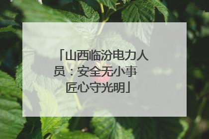 山西临汾电力人员：安全无小事 匠心守光明