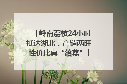 岭南荔枝24小时抵达湖北，产销两旺性价比真“给荔”