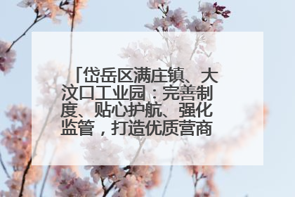岱岳区满庄镇、大汶口工业园：完善制度、贴心护航、强化监管，打造优质营商“强磁场”
