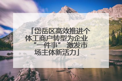 岱岳区高效推进个体工商户转型为企业“一件事” 激发市场主体新活力