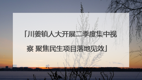 川姜镇人大开展二季度集中视察 聚焦民生项目落地见效
