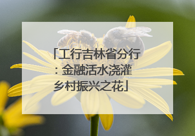 工行吉林省分行：金融活水浇灌 乡村振兴之花