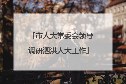 市人大常委会领导调研泗洪人大工作