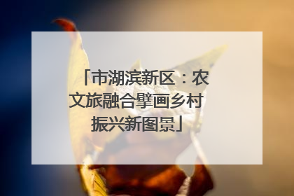 市湖滨新区：农文旅融合擘画乡村振兴新图景