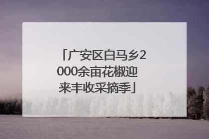 广安区白马乡2000余亩花椒迎来丰收采摘季