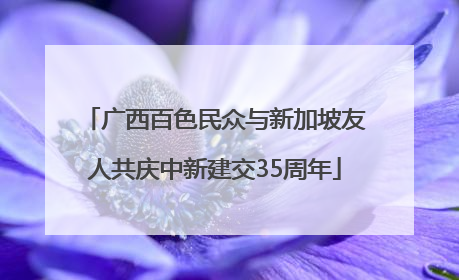 广西百色民众与新加坡友人共庆中新建交35周年