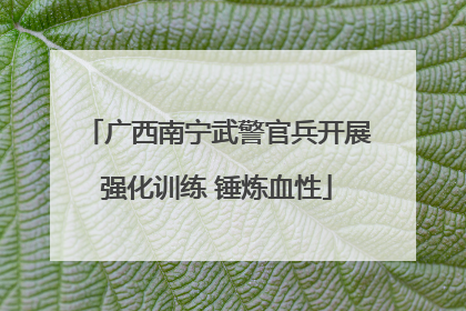 广西南宁武警官兵开展强化训练 锤炼血性