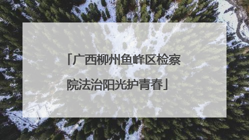 广西柳州鱼峰区检察院法治阳光护青春