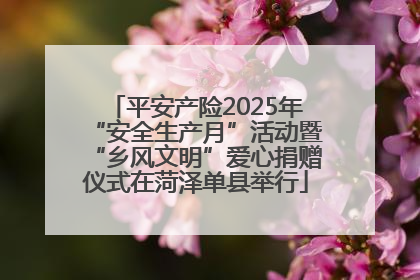 平安产险2025年“安全生产月”活动暨“乡风文明”爱心捐赠仪式在菏泽单县举行