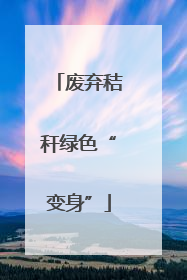 废弃秸秆绿色“变身”