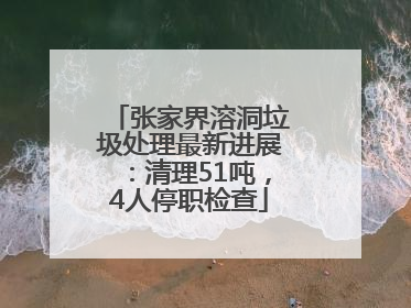 张家界溶洞垃圾处理最新进展：清理51吨，4人停职检查