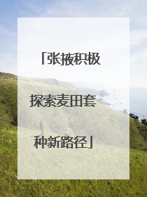 张掖积极探索麦田套种新路径
