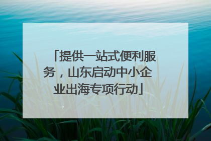 提供一站式便利服务，山东启动中小企业出海专项行动