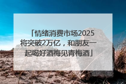 情绪消费市场2025将突破2万亿，和朋友一起喝好酒梅见青梅酒