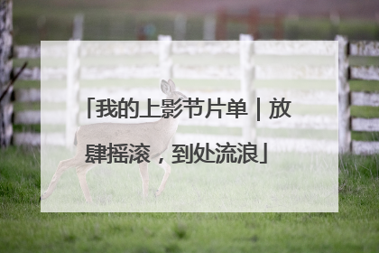 我的上影节片单｜放肆摇滚，到处流浪