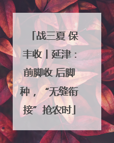 战三夏 保丰收丨延津：前脚收 后脚种，“无缝衔接”抢农时