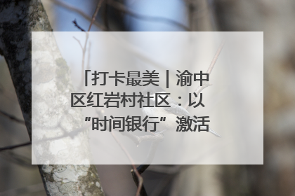 打卡最美｜渝中区红岩村社区：以“时间银行”激活垃圾分类新动能