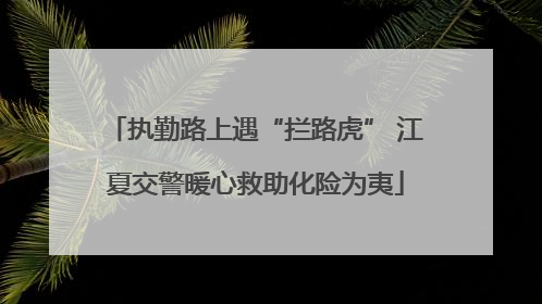 执勤路上遇“拦路虎” 江夏交警暖心救助化险为夷