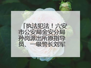 执法犯法！六安市公安局金安分局孙岗派出所原指导员、一级警长刘军被“双开”