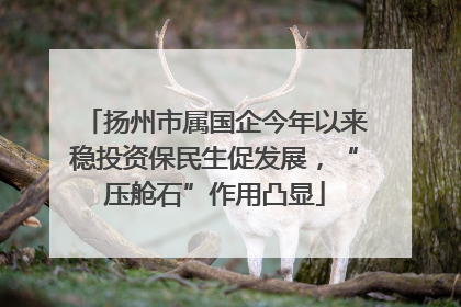 扬州市属国企今年以来稳投资保民生促发展，“压舱石”作用凸显
