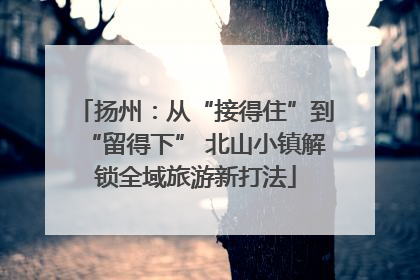扬州：从“接得住”到“留得下” 北山小镇解锁全域旅游新打法