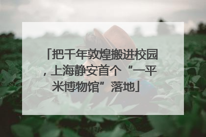 把千年敦煌搬进校园，上海静安首个“一平米博物馆”落地
