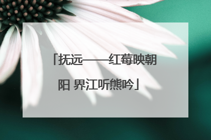 抚远——红莓映朝阳 界江听熊吟