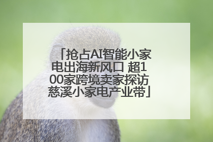 抢占AI智能小家电出海新风口 超100家跨境卖家探访慈溪小家电产业带