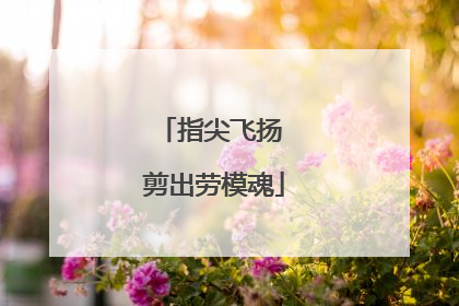 指尖飞扬 剪出劳模魂