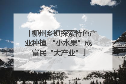 柳州乡镇探索特色产业种植 “小水果”成富民“大产业”