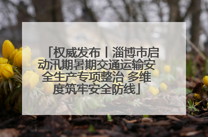 权威发布丨淄博市启动汛期暑期交通运输安全生产专项整治 多维度筑牢安全防线